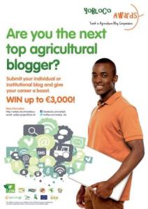 Blogging Offer